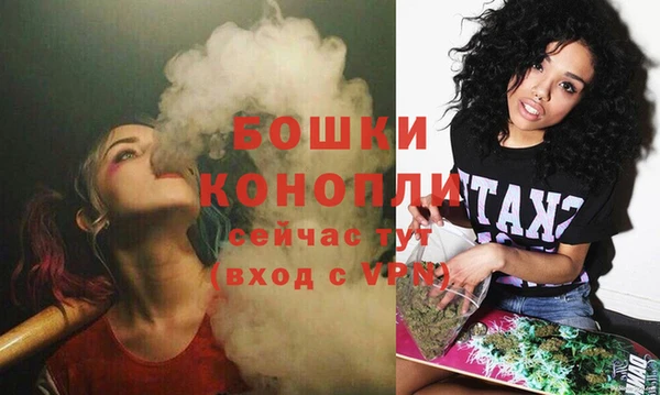 крисы Карпинск