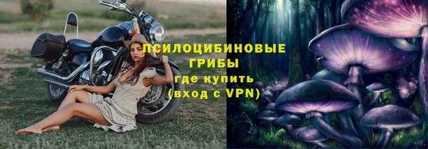 стаф Карталы