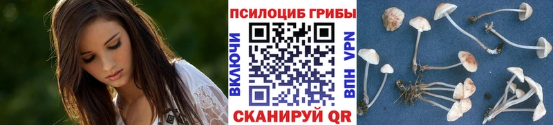 Купить закладки  Горнозаводск  Галлюциногенные грибы прущие грибы 